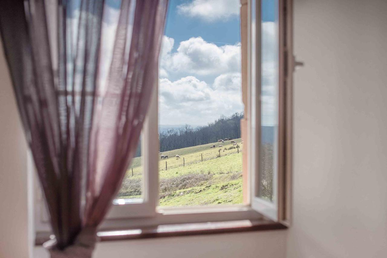 Chambres d'Hôtes Le Pignié Lescure-dʼAlbigeois Esterno foto